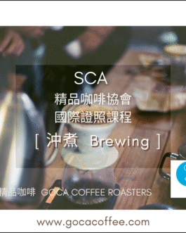 SCA <<沖煮 Brewing 金杯萃取>>初級中級證照課程 – 11/22&11/23
