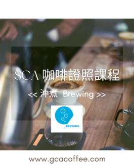 SCA <<沖煮 Brewing 金杯萃取>>初級中級證照課程 – 9/28-9/29