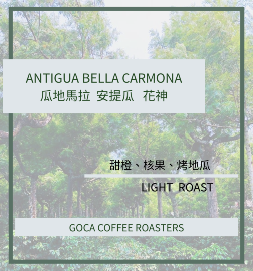 瓜地馬拉 安提瓜 花神 貝拉卡摩娜莊園 水洗 淺焙