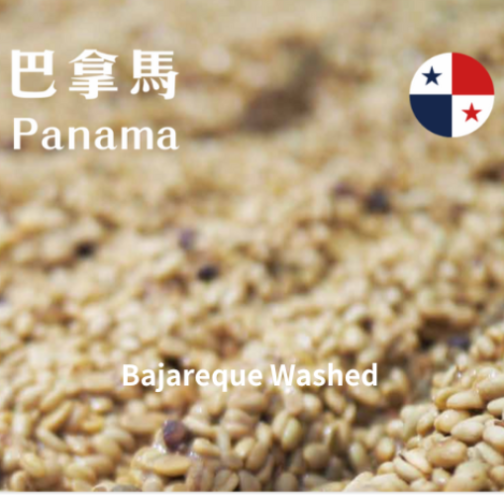 巴拿馬 波奎特 雲霧莊園 水洗 淺焙