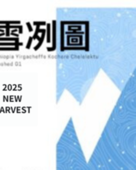 衣索比亞 耶珈雪啡 科洽雷 雪冽圖 水洗 淺焙