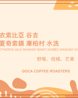 衣索比亞 谷吉 夏奇索鎮 庫柏村 水洗 淺焙