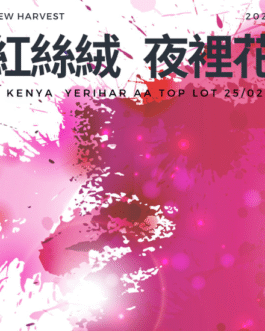 肯亞 涅里 夜裡花 AB TOP 水洗 淺焙