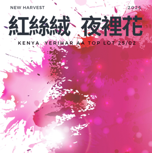 肯亞 涅里 夜裡花 AB TOP 水洗 淺焙