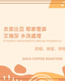 衣索比亞 耶加雪菲 艾瑞莎 水洗 淺焙