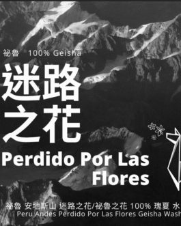 祕魯 安地斯山 迷路之花 藝妓 水洗 淺焙