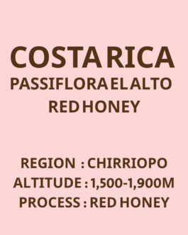 哥斯大黎加 布蘭卡 奇里波山谷 熱情花處理廠 高地莊園 紅蜜 淺焙