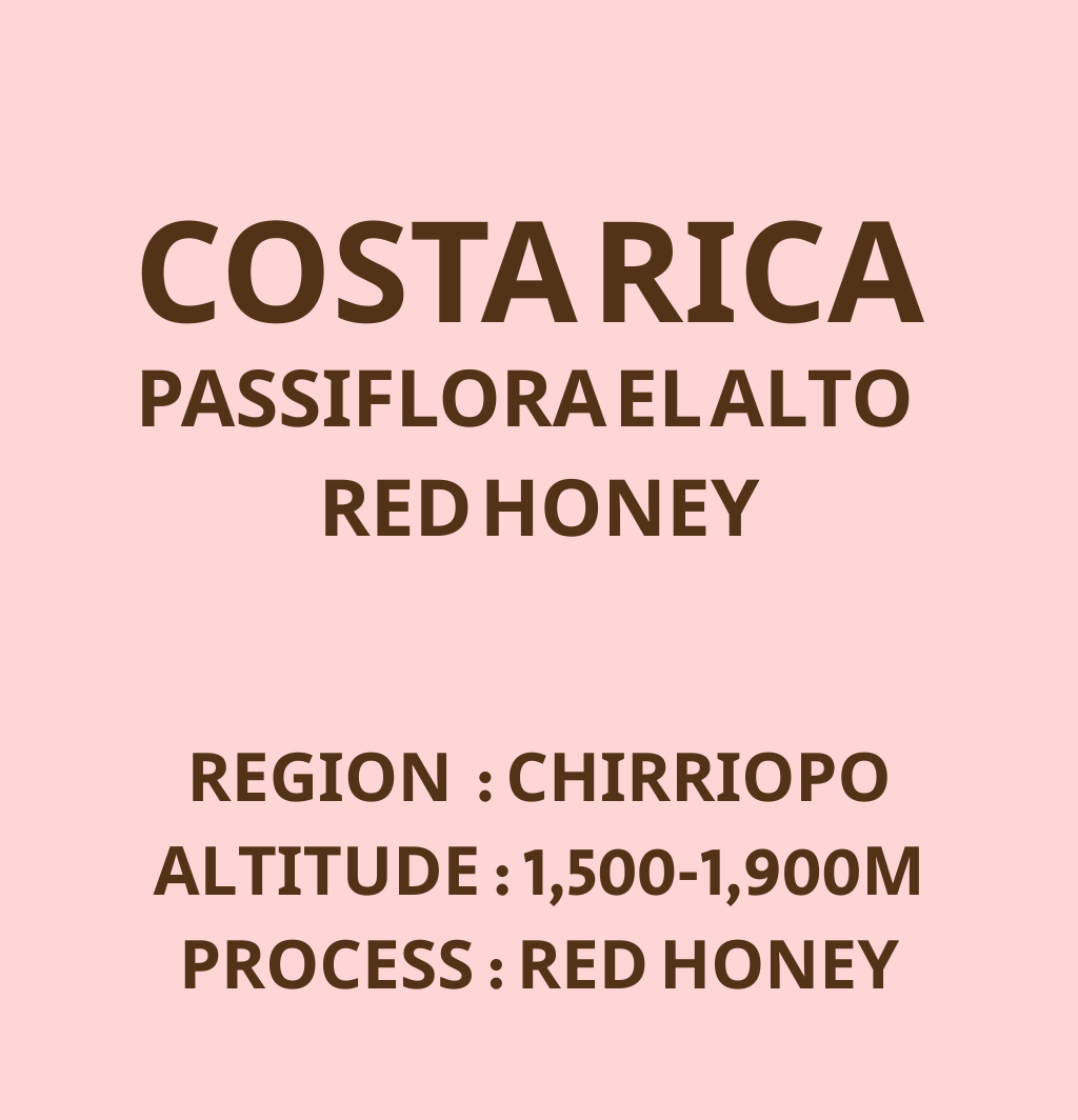 哥斯大黎加 布蘭卡 奇里波山谷 熱情花處理廠 高地莊園 紅蜜 淺焙