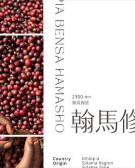 衣索比亞 西達馬 班莎 翰馬修村 日曬 淺焙