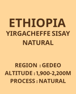 衣索比亞 耶加雪菲 西夏小農 日曬 淺焙