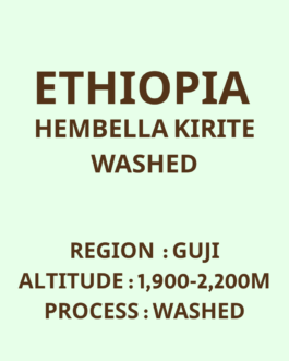 衣索比亞 古吉 罕貝拉 奇麗地 水洗 淺焙