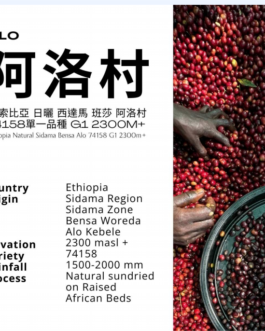 衣索比亞 西達馬 班莎 阿洛村 日曬 淺焙