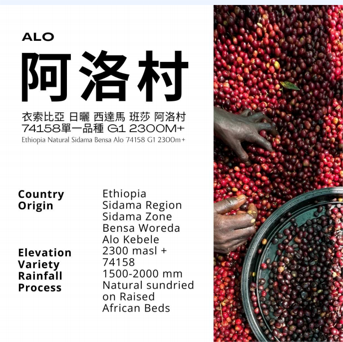 衣索比亞 西達馬 班莎 阿洛村 日曬 淺焙