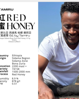 衣索比亞 西達馬 柏娜 蘇莉亞 紅蜜 淺焙