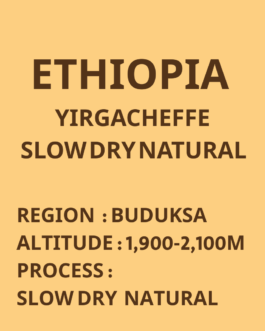 ⾐索⽐亞 耶加雪菲 ⾙薩柏⼩農 遮蔭慢乾⽇曬 淺焙