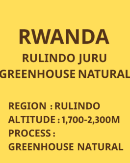 盧安達 如霖朵 珍珠圓豆 陽光屋日曬 淺焙