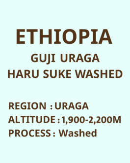 衣索比亞 古吉 烏拉嘎 哈爾蘇 水洗 淺焙