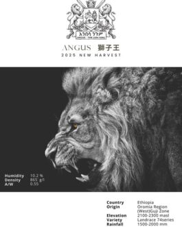 衣索比亞 古吉 安格斯獅子王 日曬處理 淺焙