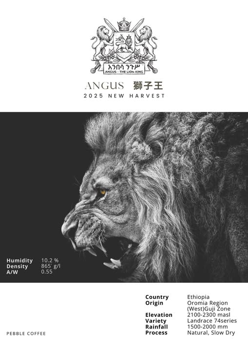 衣索比亞 古吉 安格斯獅子王 日曬處理 淺焙