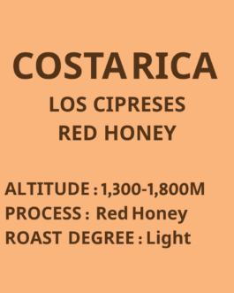 哥斯大黎加 布蘭卡 里瓦斯人處理廠 香柏莊園 紅蜜 淺焙