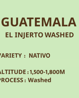 瓜地⾺拉 薇薇特南果 茵赫特莊園 Nativo 水洗