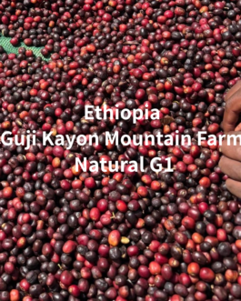 衣索比亞 古吉 凱勇山單一農場 日曬