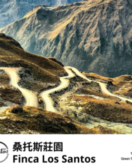 祕魯 亞馬遜 桑托斯莊園 藝伎 日曬