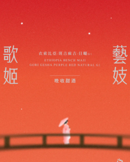 衣索比亞 班吉麻吉 歌姬藝伎 晚收甜酒 日曬